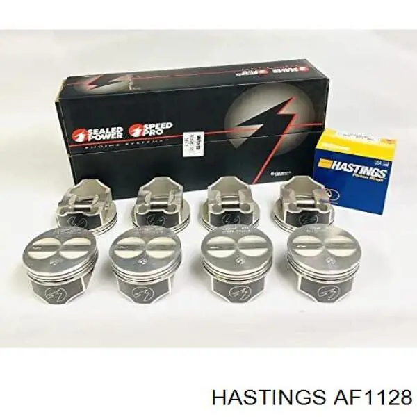 Воздушный фильтр AF1128 Hastings