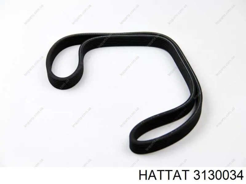  3130034 Hattat