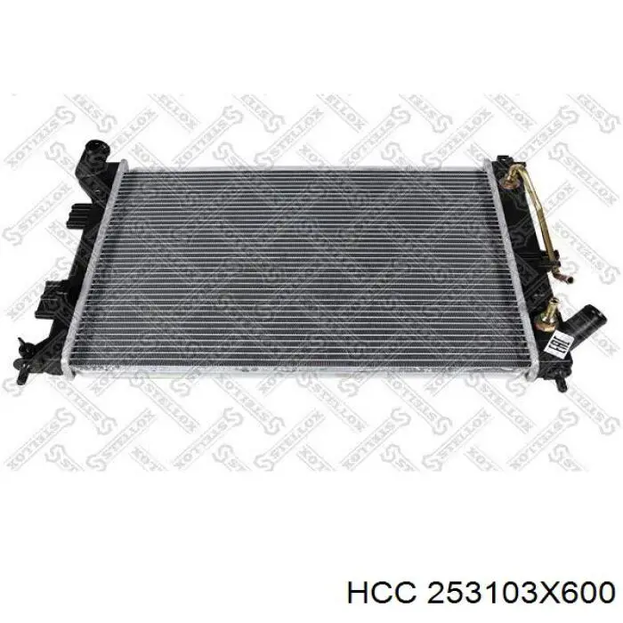 253103X600 HCC radiador de esfriamento de motor