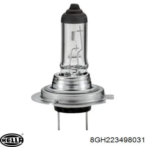 8GH 223 498-031 HELLA lâmpada halógena