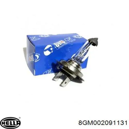 Лампочка накаливания HELLA 8GM002091131 цена, от 0.33 USD
