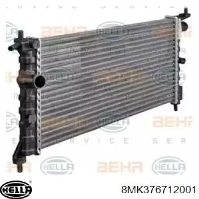 Купить 7250020 TYC Радиатор водяной