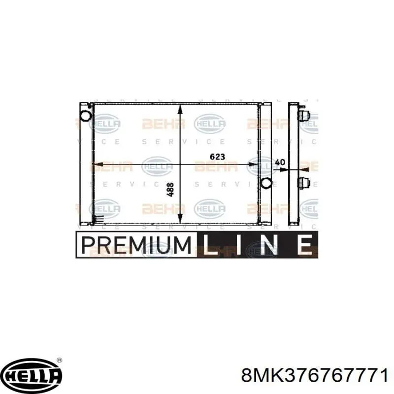 Радиатор охлаждения двигателя Ford 6138597 цена, от 200.23 USD