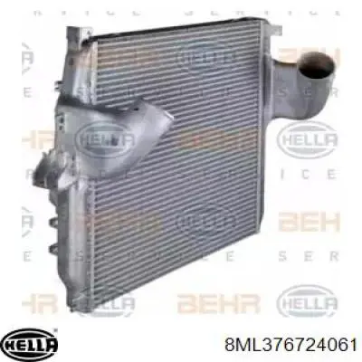 Радиатор интеркуллера Mercedes A9425010901