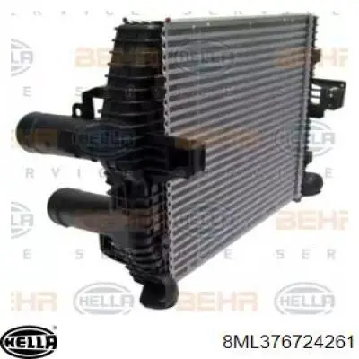 Интеркулер 9585010301 Mercedes