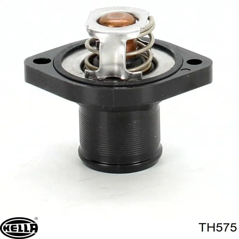 Термостат дополнительный CT0119 BGA