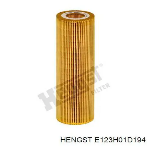 E123H01D194 Hengst