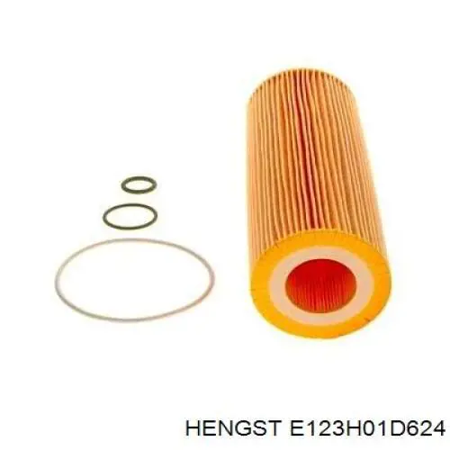 E123H01D624 Hengst