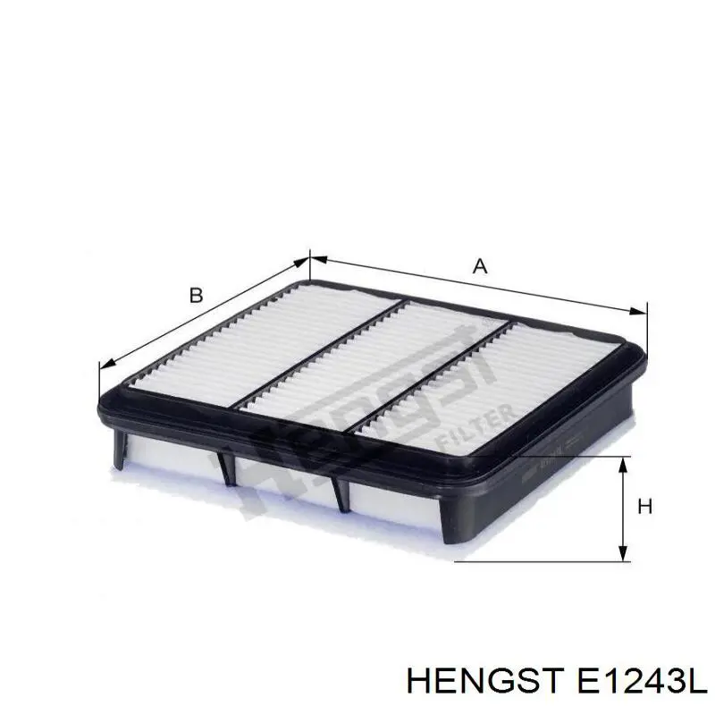 Купить E1243L Hengst Автомобильный фильтр воздуха