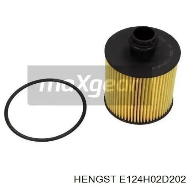 Масляный фильтр E124H02D202 Hengst