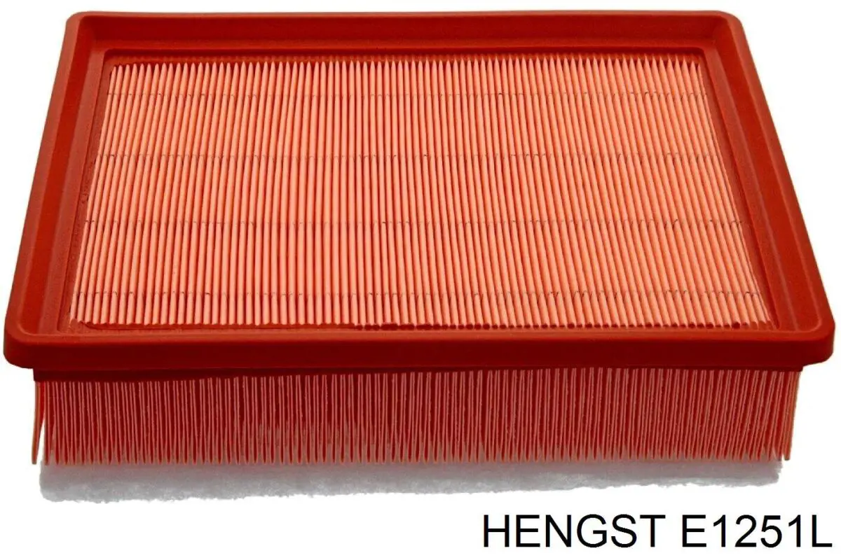 Купить E1251L Hengst Автомобильный фильтр воздуха
