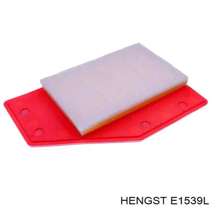 E1539L Hengst