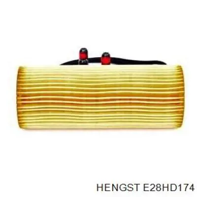 E28HD174 Hengst
