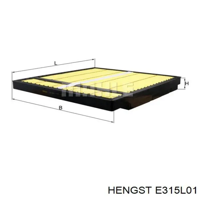 E315L01 Hengst