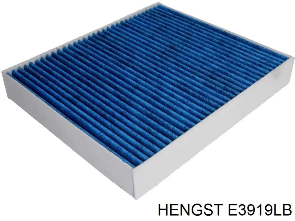 E3919LB Hengst filtro de salão