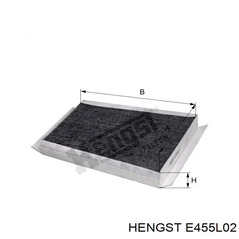 E455L02 Hengst