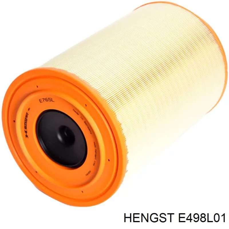 E498L01 Hengst