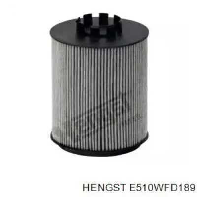  E510WFD189 Hengst