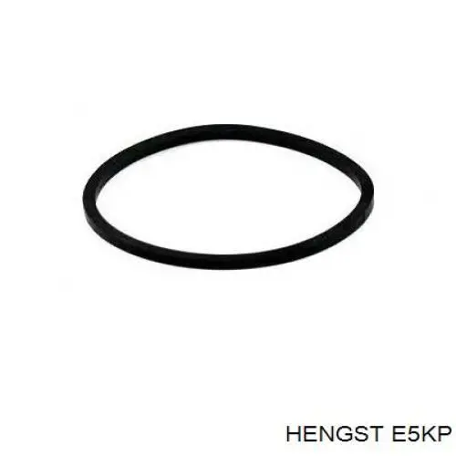 Фильтр топливный Hengst E5KP
