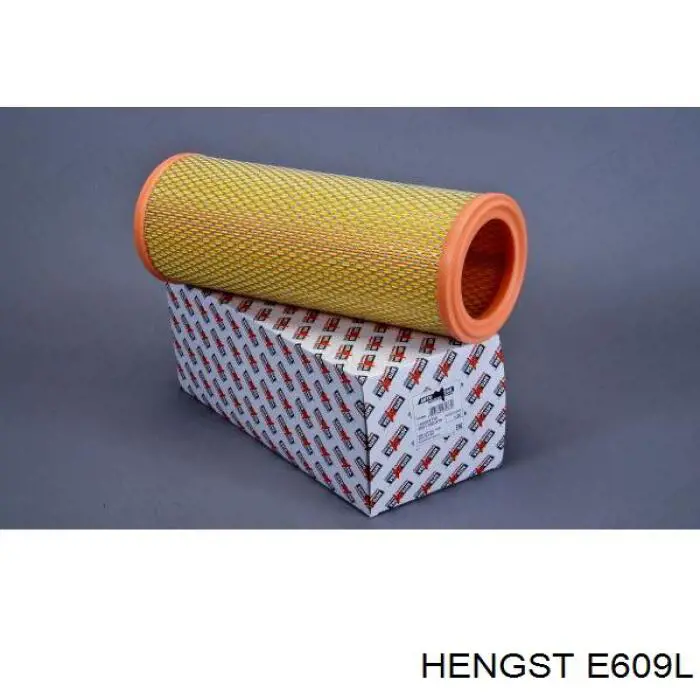 E609L Hengst Воздушный фильтр двигателя