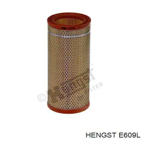 Filtro de aire E609L Hengst