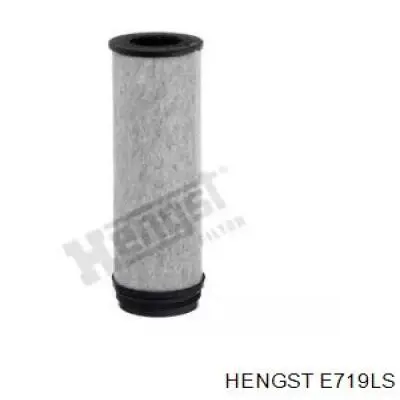 E719LS Hengst фильтр воздушный насоса подачи вторичного воздуха
