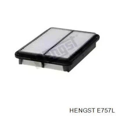 E757L Hengst
