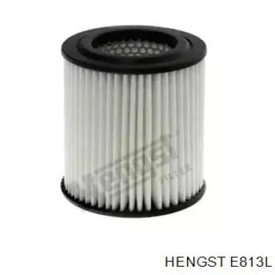 E813L Hengst