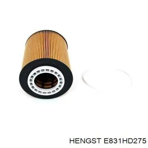 E831HD275 Hengst