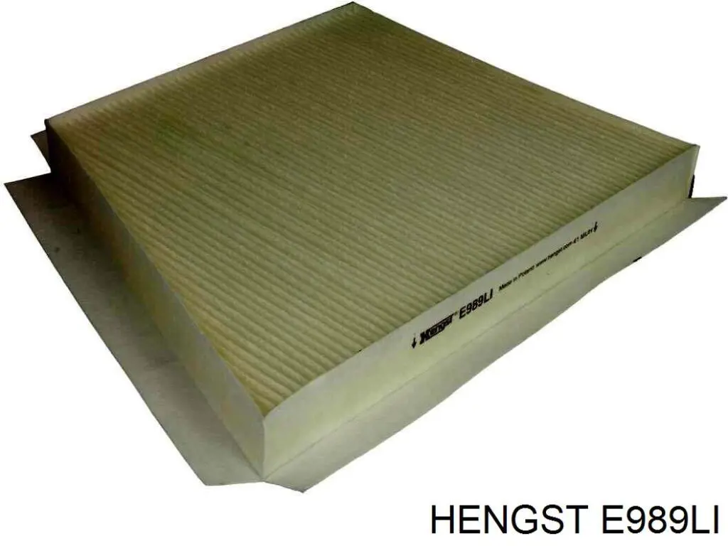 E989LI Hengst