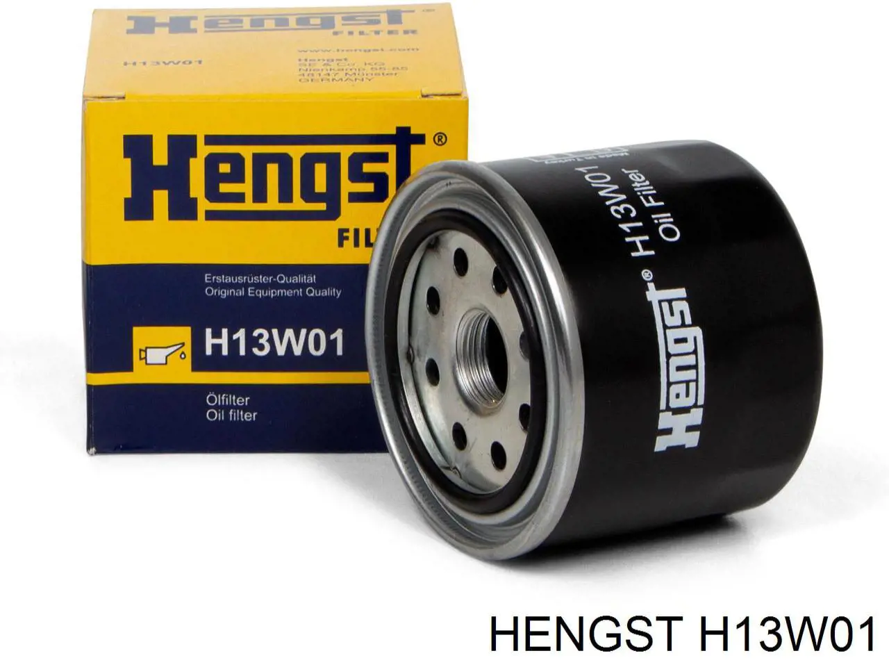 H13W01 Hengst