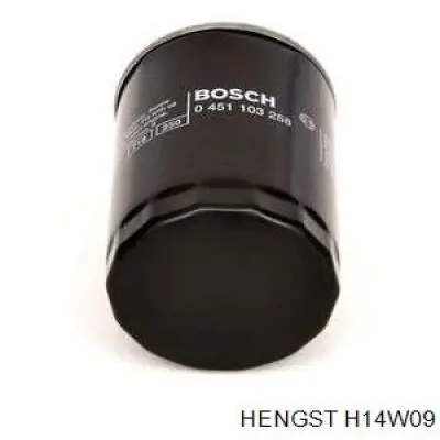 H14W09 Hengst