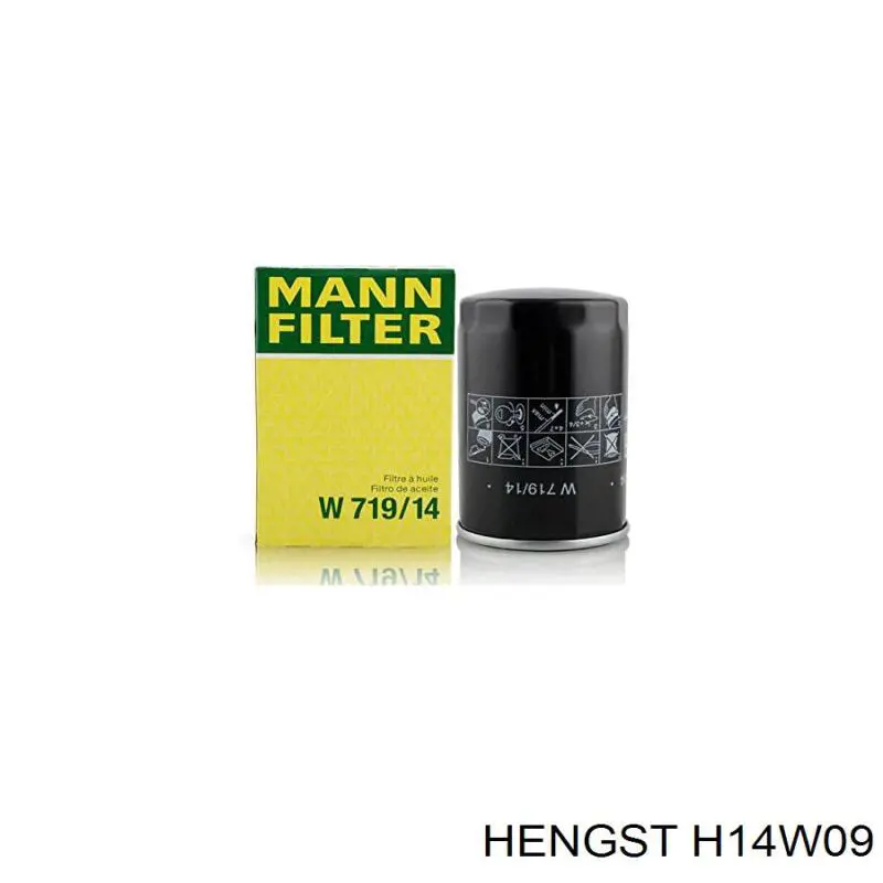 H14W09 Hengst