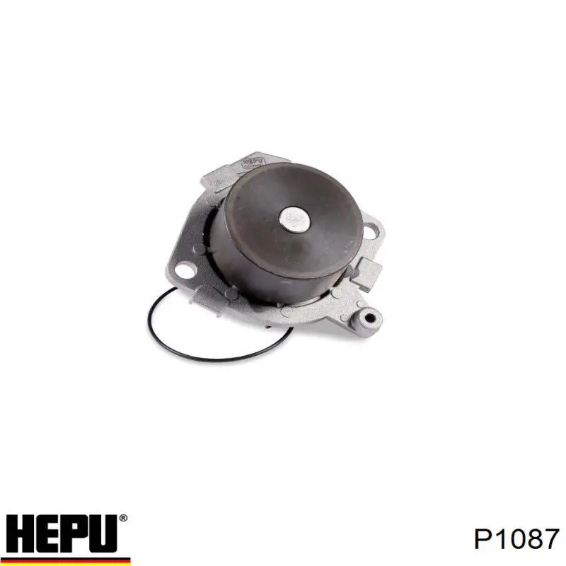 Водяной насос Hepu P1087