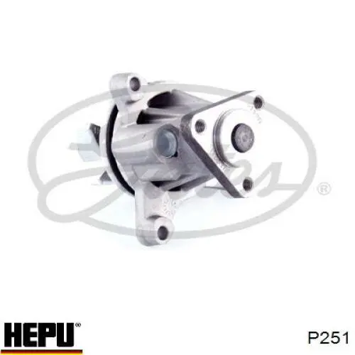 Водяной насос Hepu P251