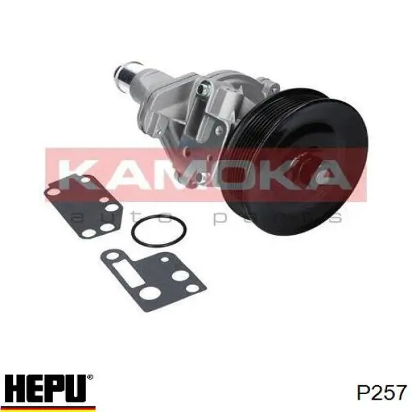 Водяной насос Hepu P257