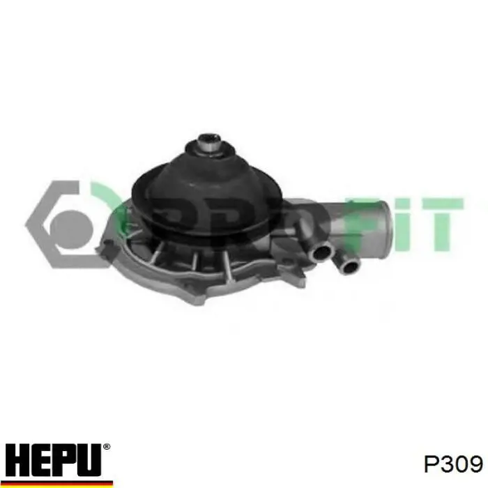 Водяной насос Hepu P309