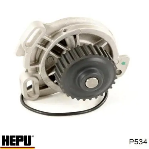 P534 Hepu