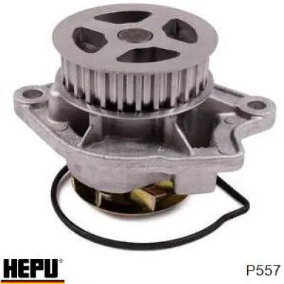 Помпа P557 Hepu