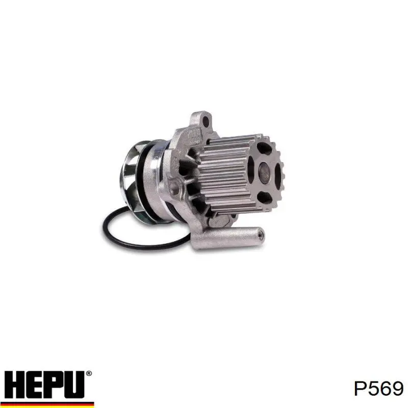Водяной насос Hepu P569