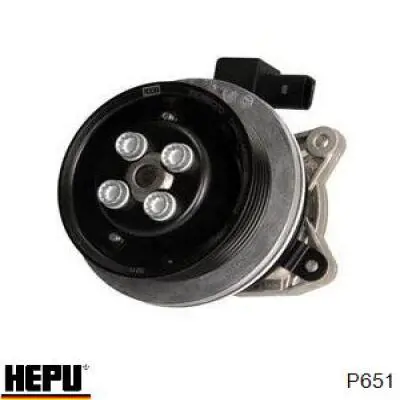 Водяной насос Hepu P651