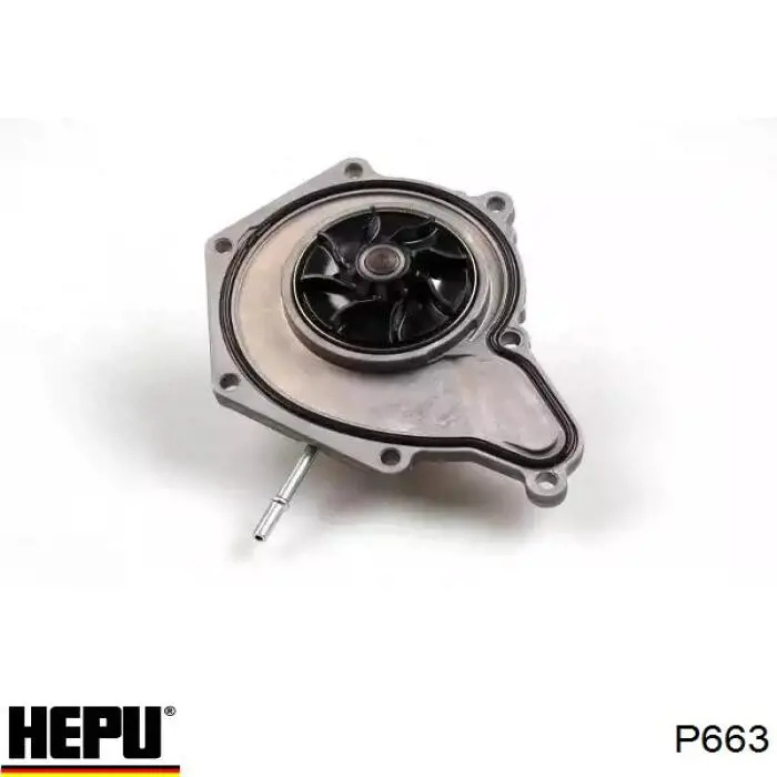 Водяной насос Hepu P663