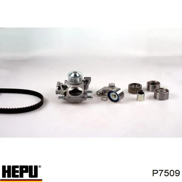 Купить P7509 Hepu Насос охлаждения