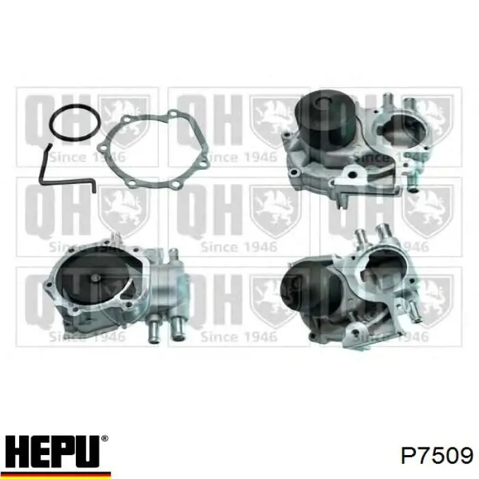 Помпа P7509 Hepu