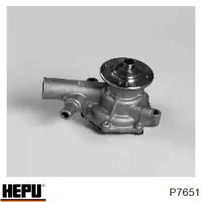 P7651 Hepu Насос водяной