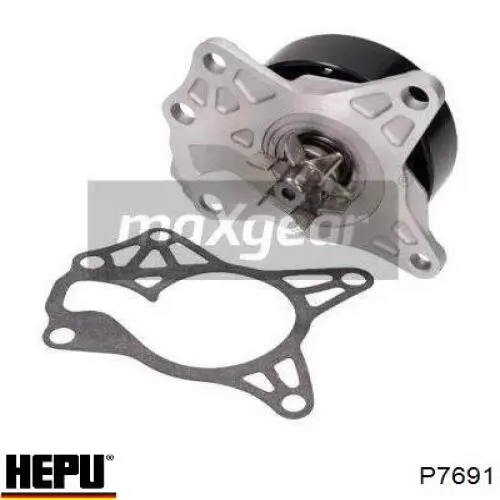 P7691 Hepu Насос водяной