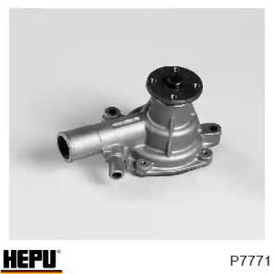  P7771 Hepu