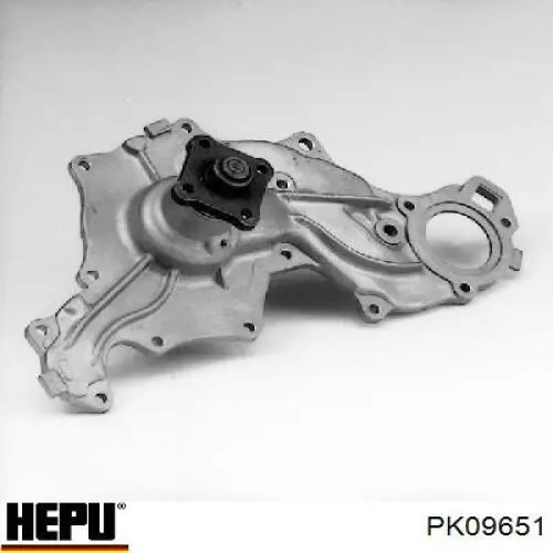 PK09651 Hepu Комплект ремня ГРМ