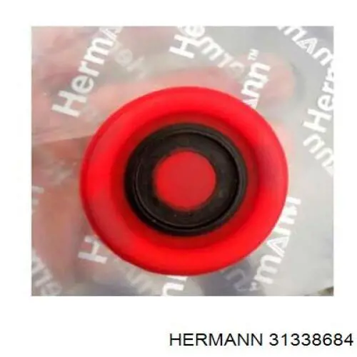  31338684 Hermann