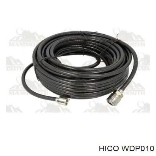  WDP010 Hico